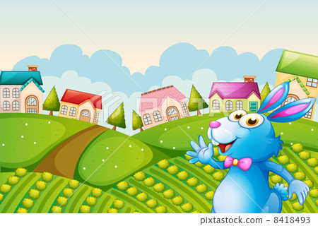 a bunny at the field 8418493