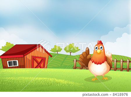 A hen at the farm 8418976