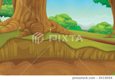 Tree trunk forest scene 8419084