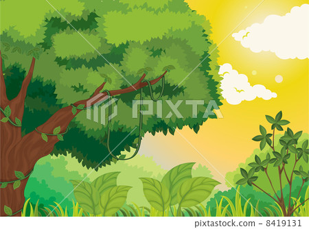 Jungle at sunset 8419131