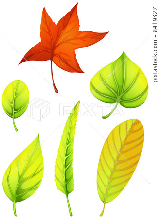 Six different leaves Six different leaves 8419327