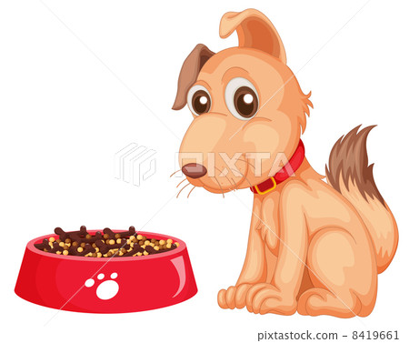 Isolated dog on white Isolated dog on white 8419661