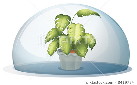 A green plant inside a round cystal A green plant inside a round cystal 8419754