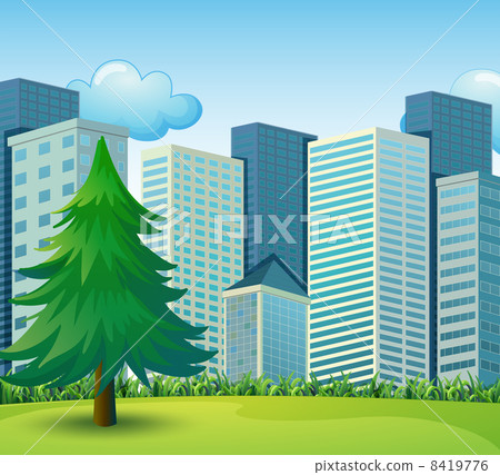 A big pine tree growing near the tall buildings A big pine tree growing near the tall buildings 8419776