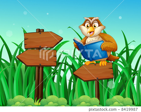 An owl reading a book above a wooden arrow board 8419987