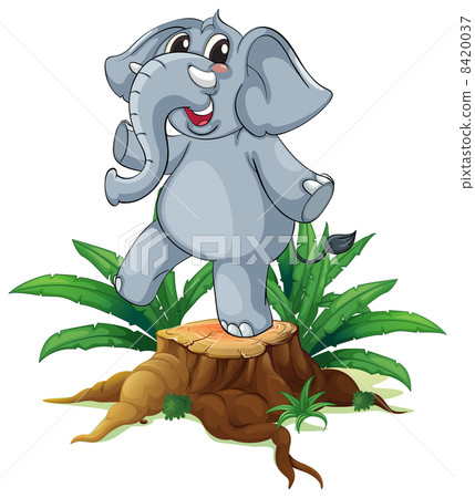 A tree with a young gray elephant 8420037