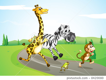 Animals running at the street Animals running at the street 8420080