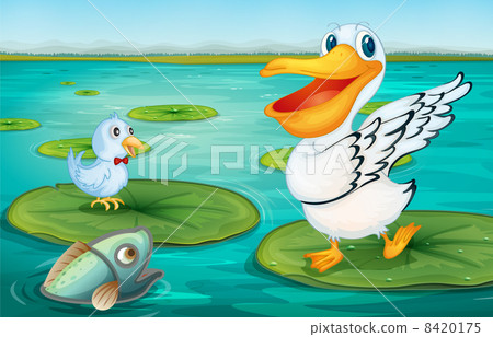Pelican on the lily pad 8420175