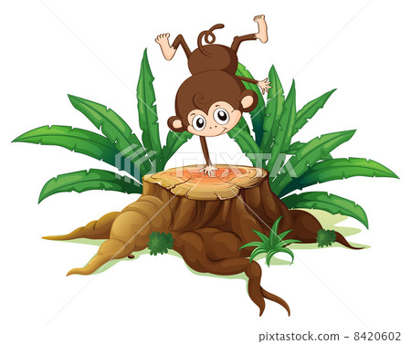 A tree with a small playful monkey A tree with a small playful monkey 8420602