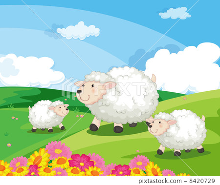 Sheep 8420729