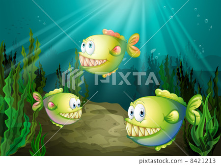 Three piranhas under the sea with seaweeds 8421213
