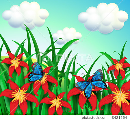 Two butterflies at the garden with red flowers Two butterflies at the garden with red flowers 8421364