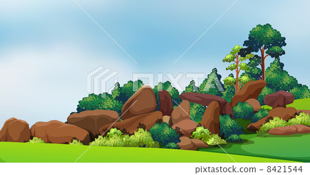 A forest with big rocks A forest with big rocks 8421544