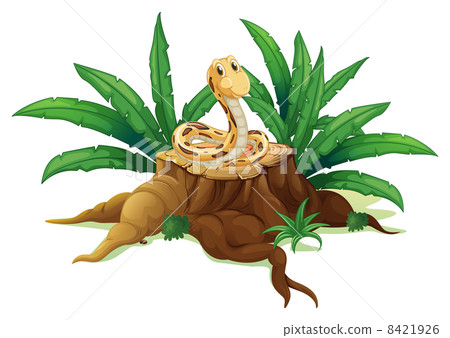 A snake above the stump A snake above the stump 8421926