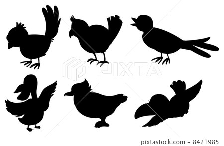 Bird silhouettes Bird silhouettes 8421985