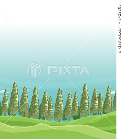 A field with pine trees 8422205