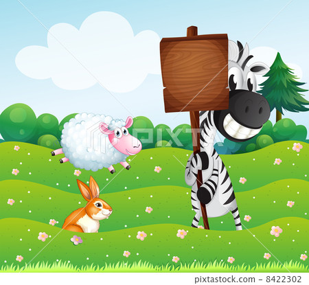 A zebra holding an empty wooden signboard at the hill A zebra holding an empty wooden signboard at the hill 8422302