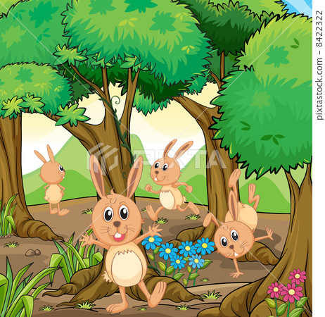 Four rabbits playing at the forest Four rabbits playing at the forest 8422322