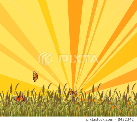 A sunset scenery at the top of the hill 8422342