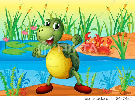 A turtle in the pond with two crabs at the back 8422482