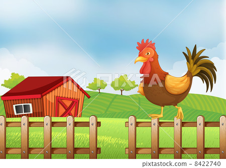 A rooster above the fence 8422740