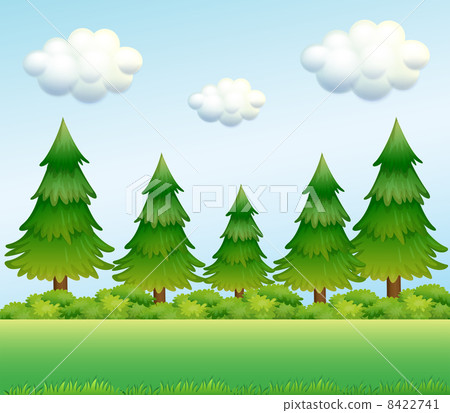 Green pine trees 8422741