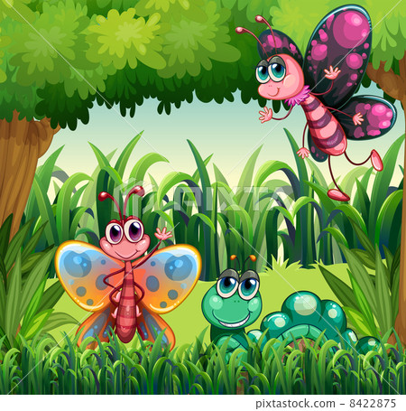 Insects at the forest Insects at the forest 8422875