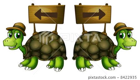 Turtles carrying wooden signboards Turtles carrying wooden signboards 8422935