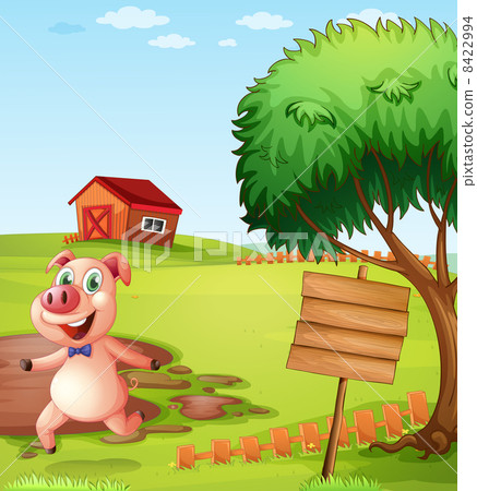 A pig in the farm near the empty signboard A pig in the farm near the empty signboard 8422994