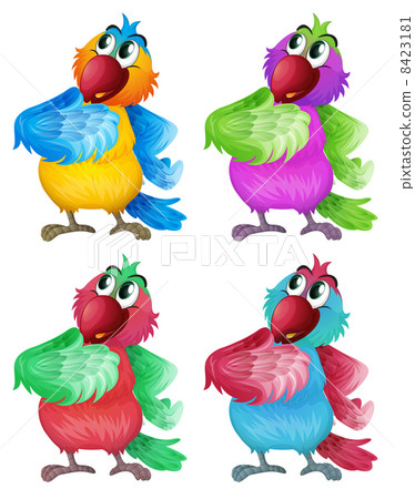 Four colorful parrots 8423181