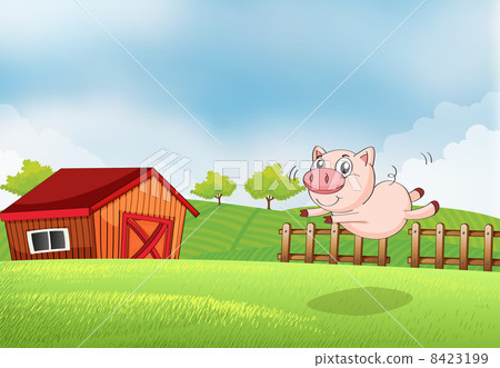 A pig jumping at the farm 8423199
