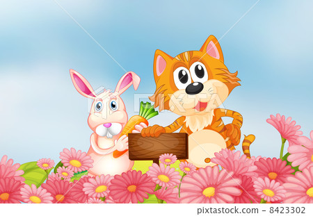 A bunny holding a carrot and a cat holding an empty signboard A bunny holding a carrot and a cat holding an empty signboard 8423302