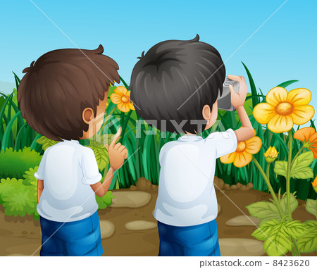 Two boys taking photos of the flowers Two boys taking photos of the flowers 8423620