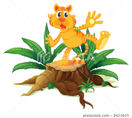 A tiger above the chopped wood 8423635