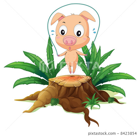A female pig playing above the stump 8423854
