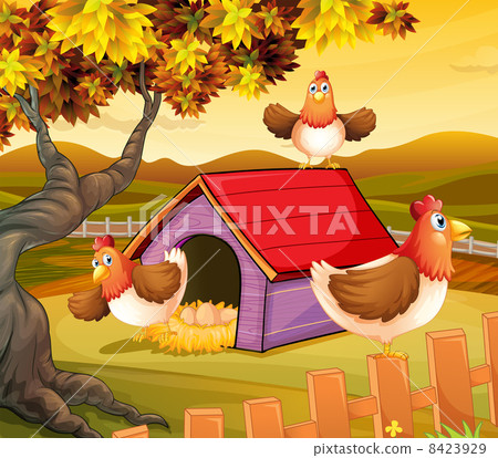 Three hens inside the fence Three hens inside the fence 8423929