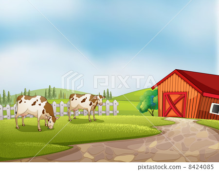 Two cows at the farm with a barn and fence Two cows at the farm with a barn and fence 8424085