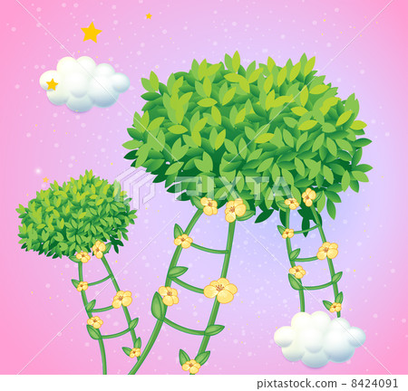 Ladders made of vine plants Ladders made of vine plants 8424091