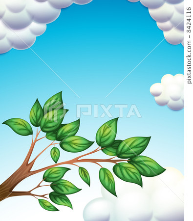 A branch of tree with leaves A branch of tree with leaves 8424116
