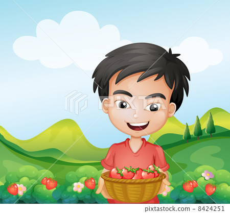 A boy holding a basket of strawberries A boy holding a basket of strawberries 8424251