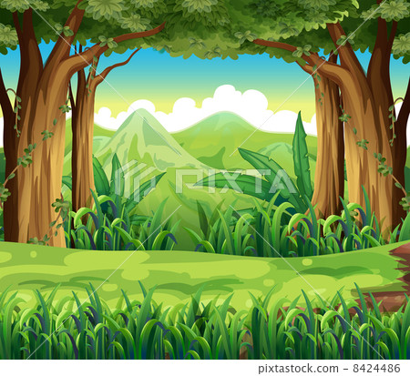 The green forest 8424486