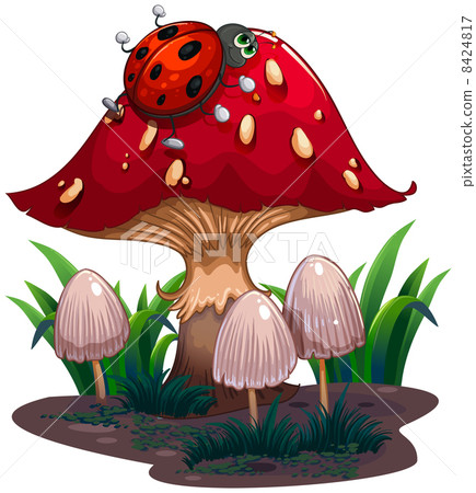 A bug crawling at the red giant mushroom 8424817