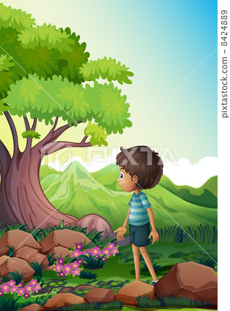 A boy near the giant tree in the forest A boy near the giant tree in the forest 8424889