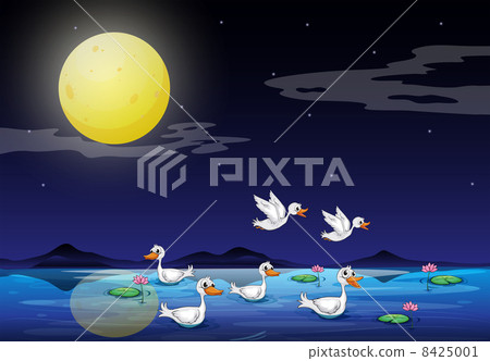 Ducks at the pond in a moonlight scenery Ducks at the pond in a moonlight scenery 8425001
