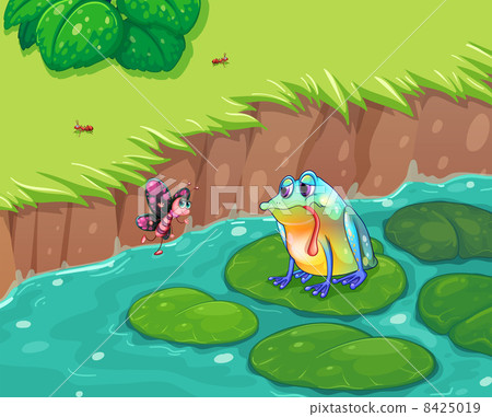 A hungry frog looking at the butterfly A hungry frog looking at the butterfly 8425019
