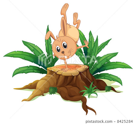 A bunny on a stump with leaves A bunny on a stump with leaves 8425284