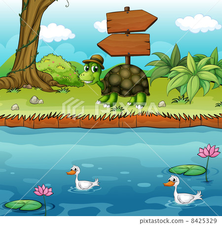 A turtle near the wooden arrowboards at the riverbank 8425329