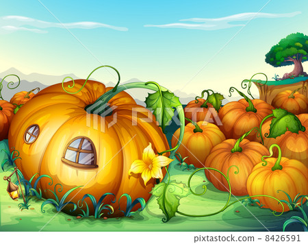 pumpkins 8426591