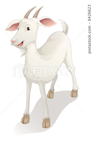 goat goat 8426623