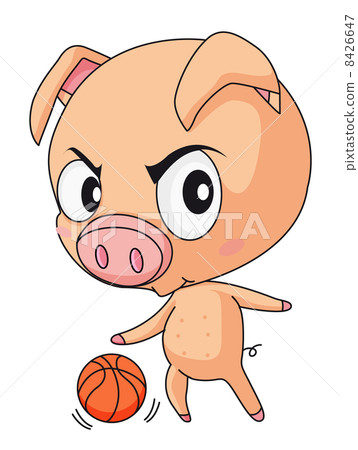 Pig basketball Pig basketball 8426647
